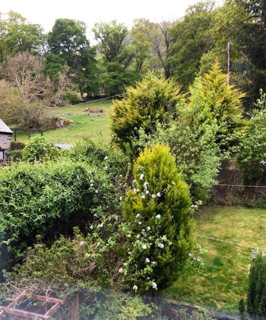 Hotel Afon View à Betws-y-Coed Extérieur photo